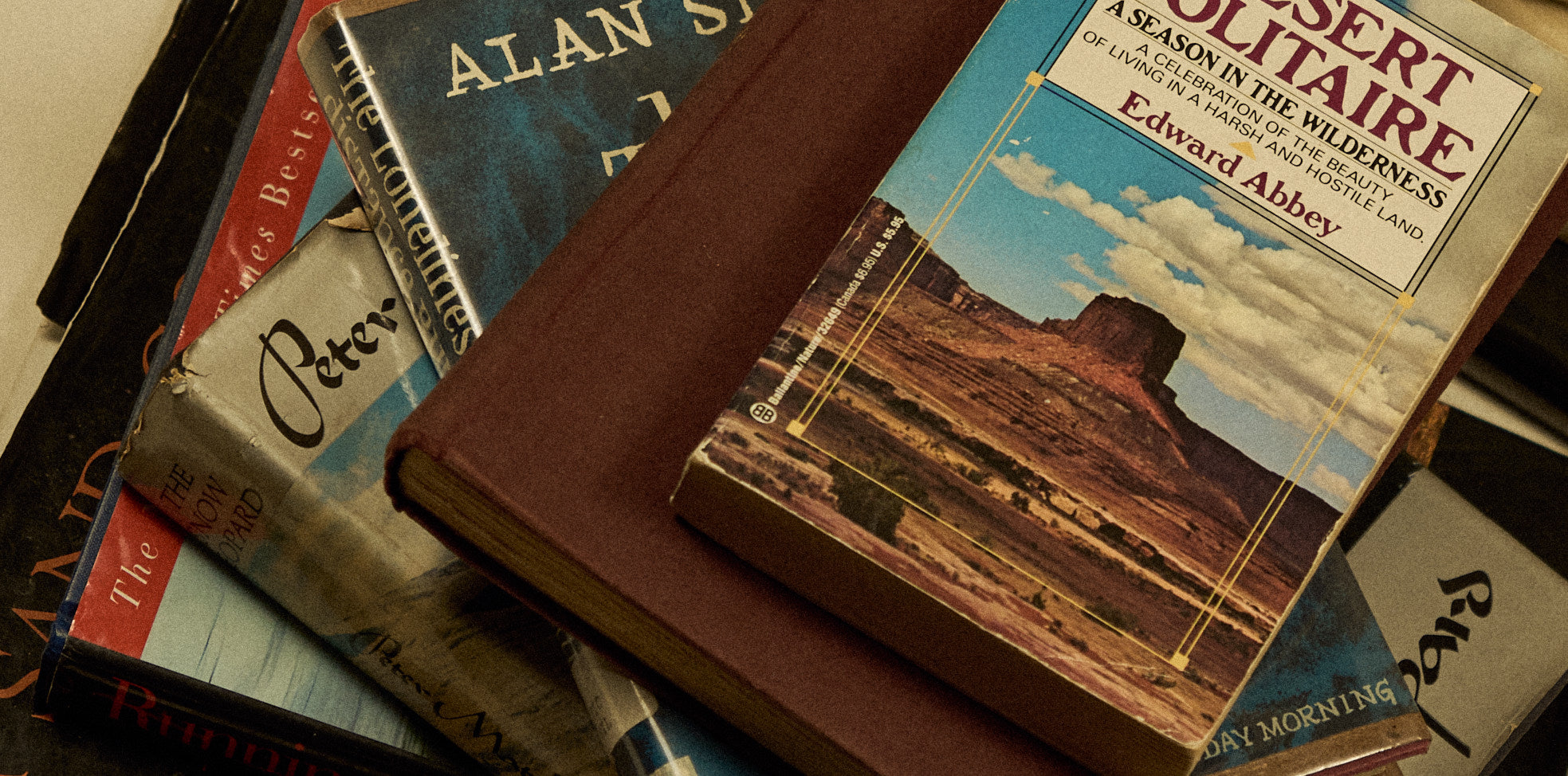 Art & Books