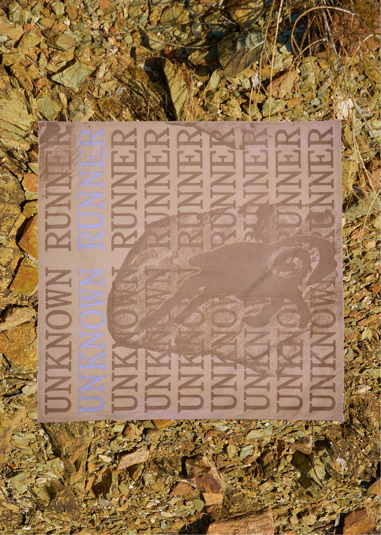 Unknown Runner Repeat Bandana